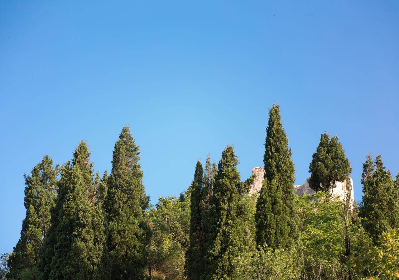 Vasiliki Apartment เวียร์ปาซาร์ ภายนอก รูปภาพ